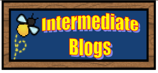 Intermediate Blogs