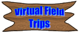 Virtual Field Trips