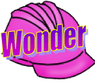 Wonder