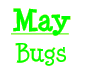 May - Bugs