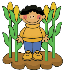 student in cornfield