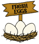 Fresh Eggs